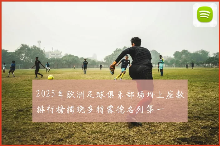 2025年欧洲足球俱乐部场均上座数排行榜揭晓多特蒙德名列第一